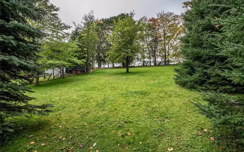 wedding-lawn-area